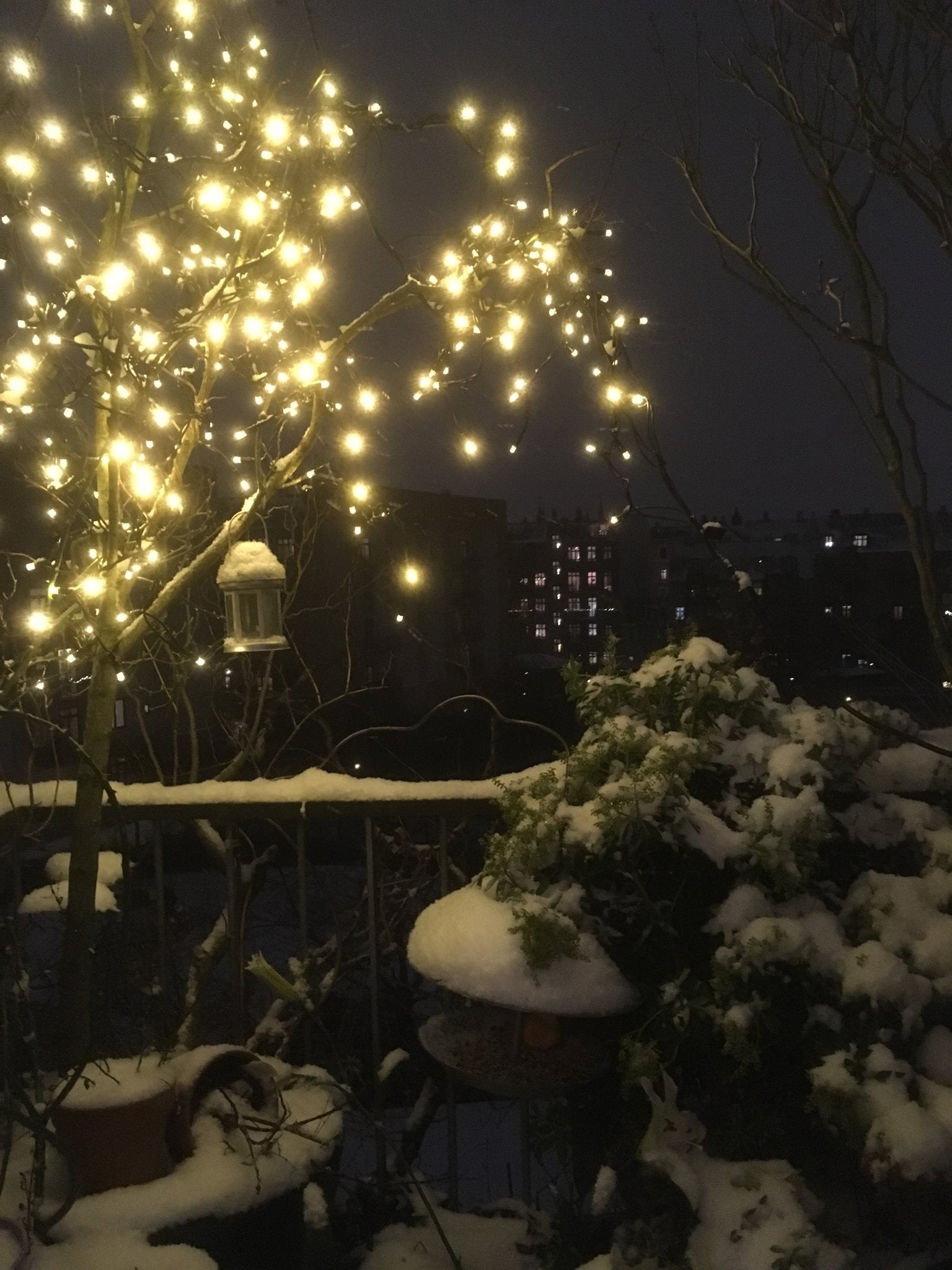 Vinter vanding af planter i selvvandingskrukker