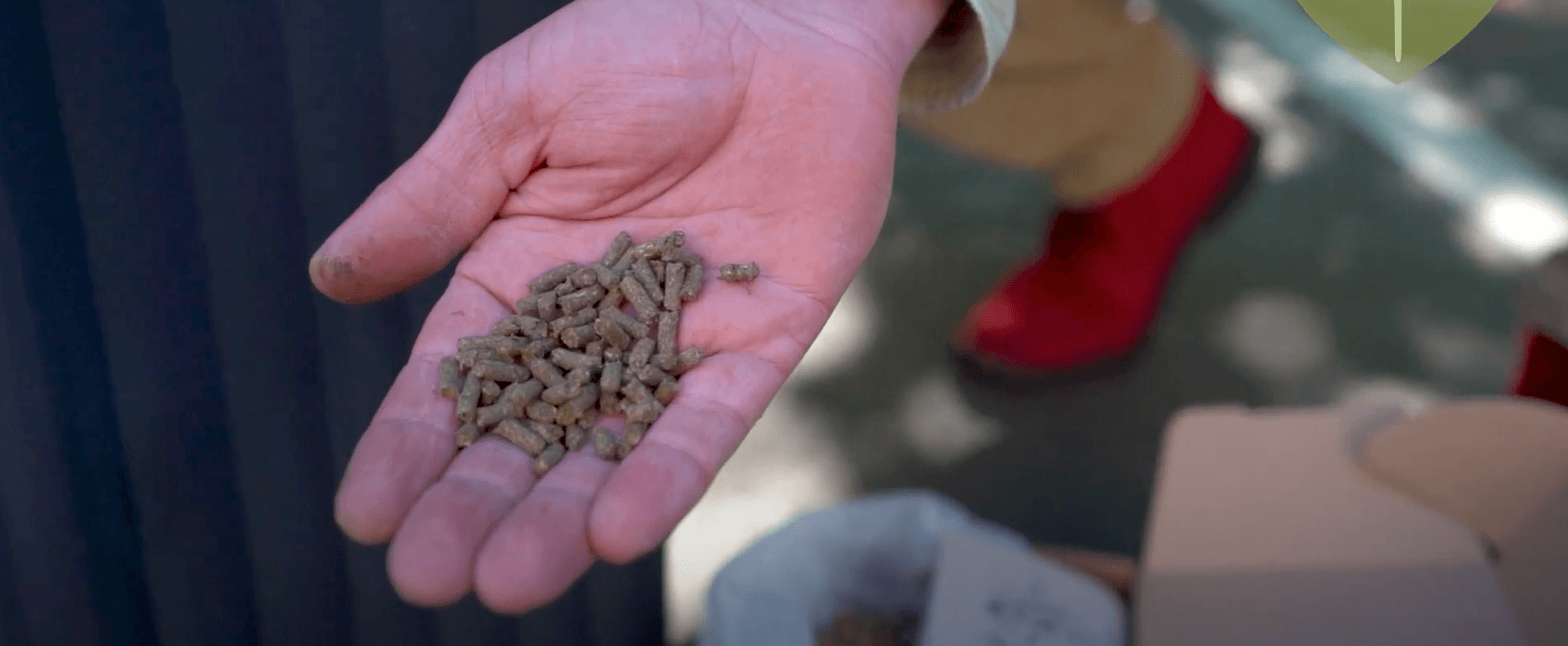 Sådan gøder du dine planter