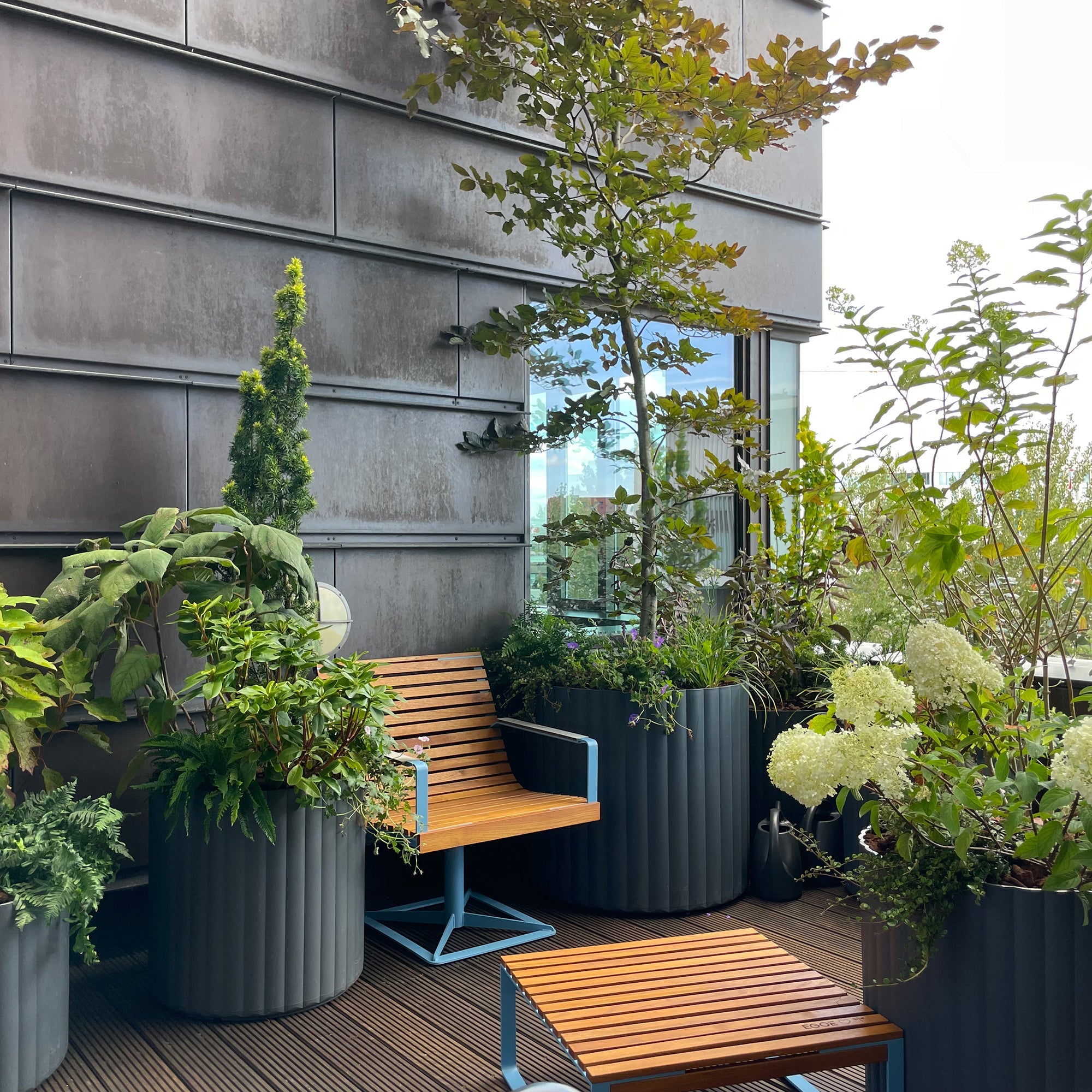 Vanding af planter i selvvandingskrukker med kapillærfunktion