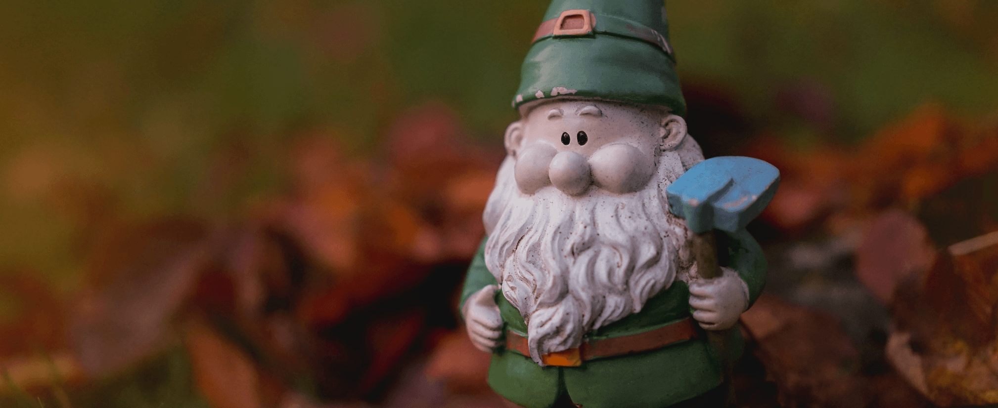 Få et forspring - plant dine planter om efteråret