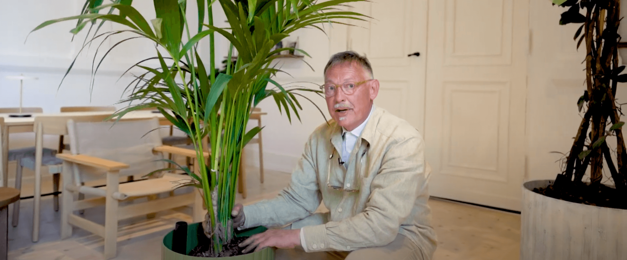 Skab dit eget lille stykke jungle i stuen med selvvandende krukker