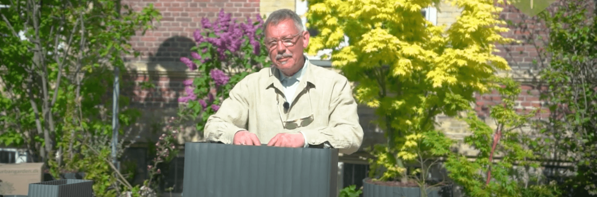 Plant tre træer i en krukke på din altan