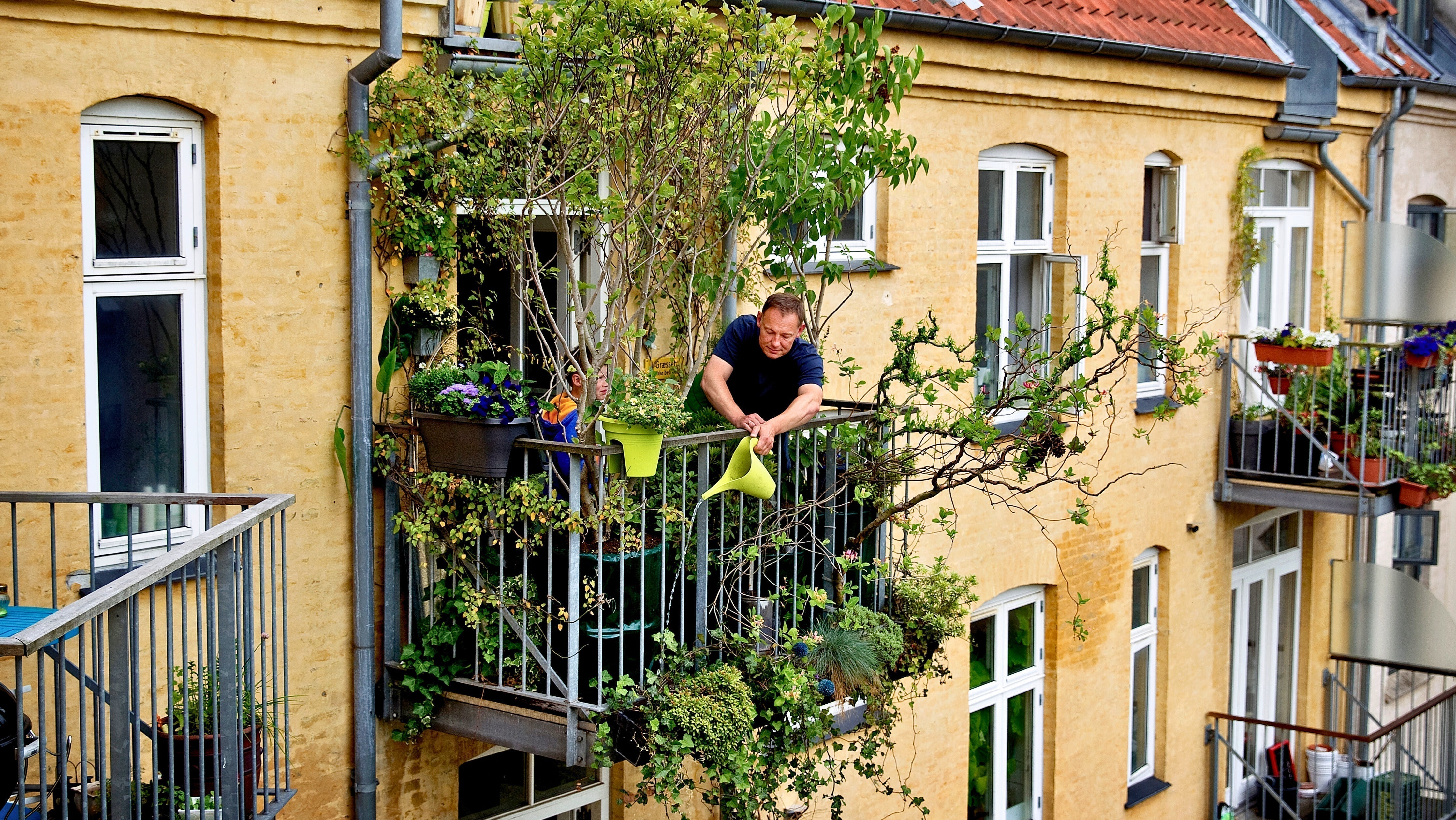 Sådan skaber du et skovbryn på altanen