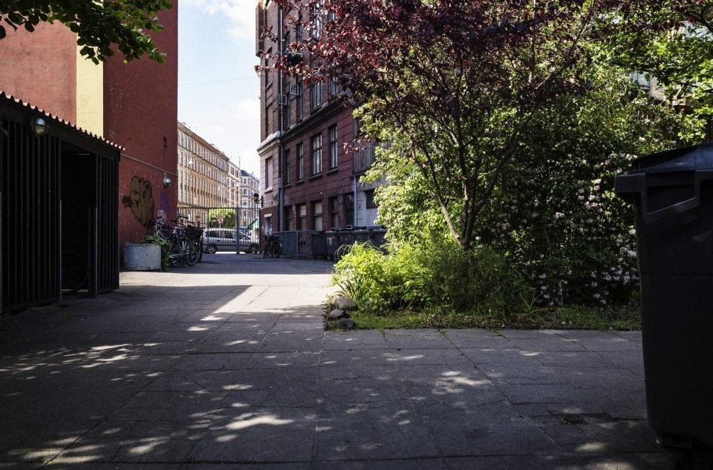 Hvilke planter skal jeg vælge hvis der er skygge det meste af dagen?