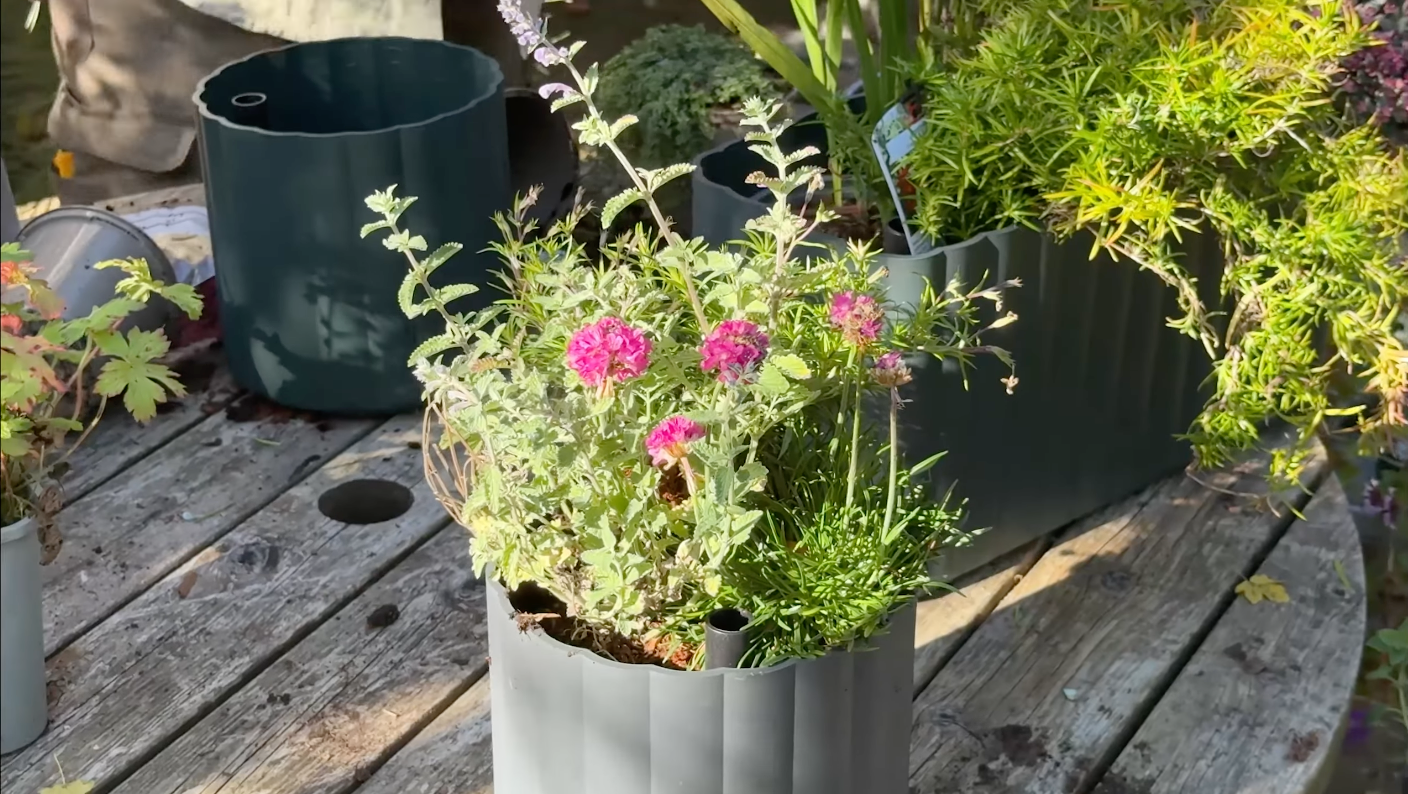 Video: Hårdføre altankasser og småplanter