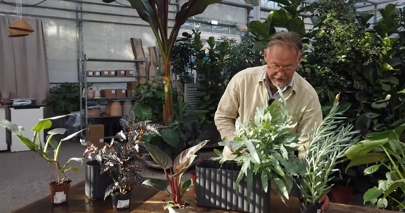 Video: Sådan skaber du en jungle i stuen