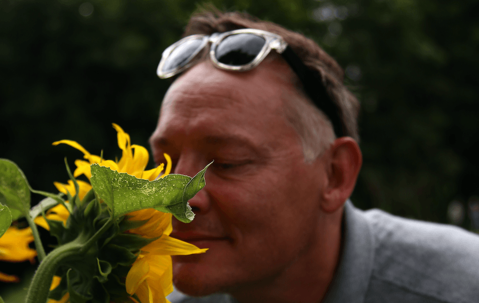 Omgiv dig med planter. Det er sundt for dit helbred