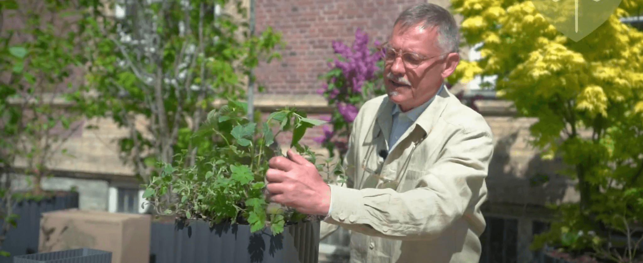 Plant en nektarbuffet i din selvvandingskrukke