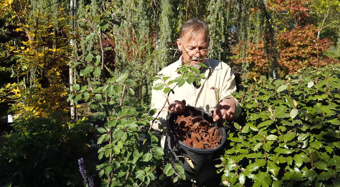 Video: Derfor skal du plante tæt i krukker