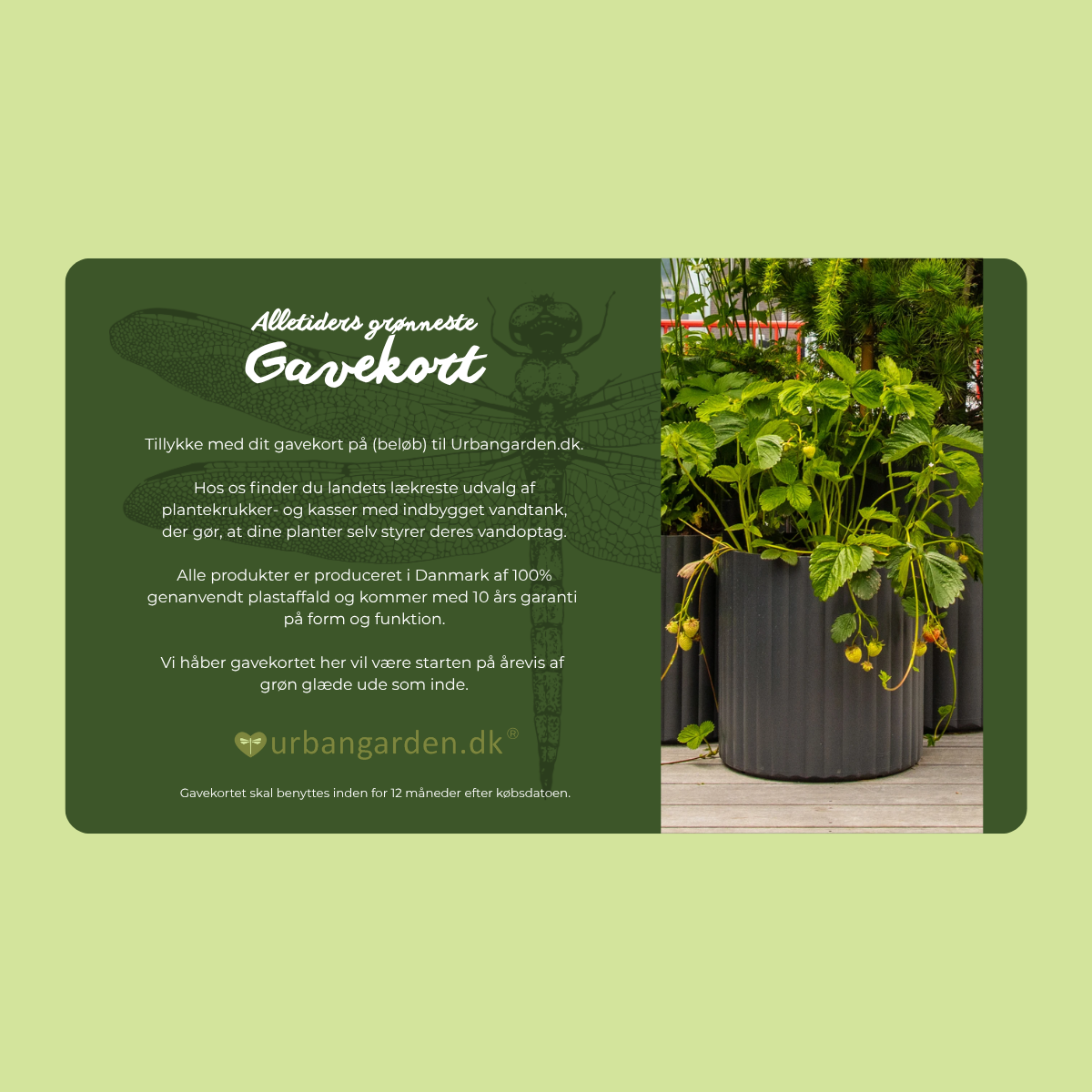 Alletiders Grønneste Gavekort