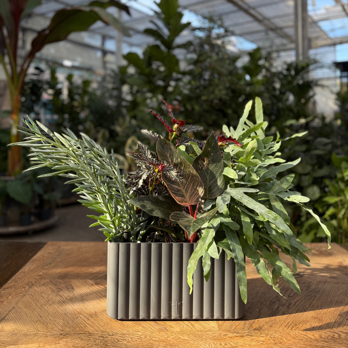 Klimakassen Mikro | L38/H20,5/B17cm