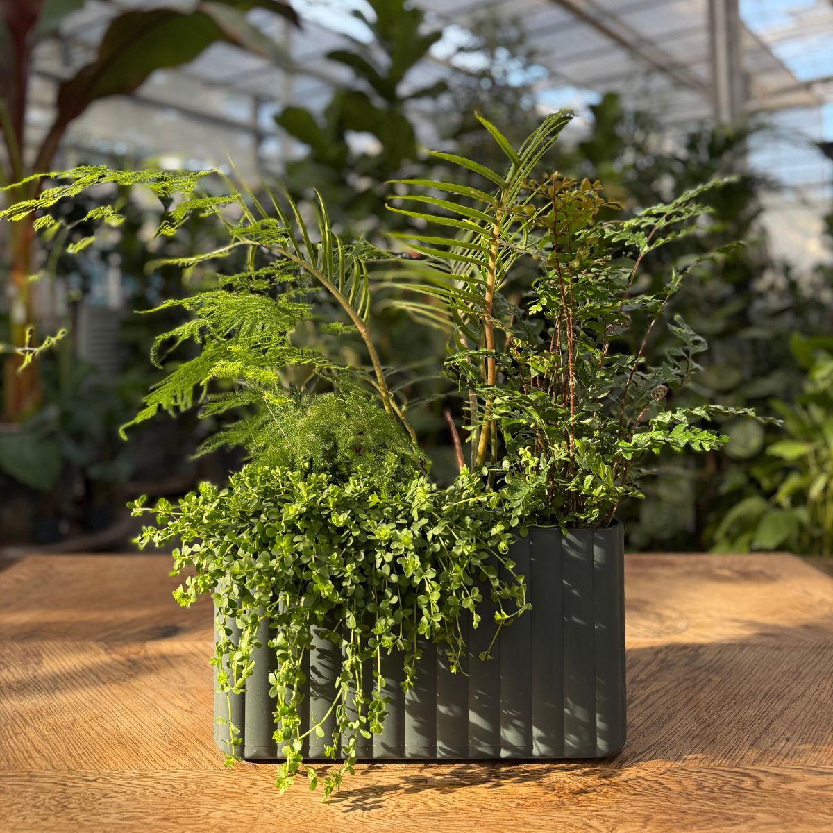 Klimakassen Mikro | L38/H20,5/B17cm