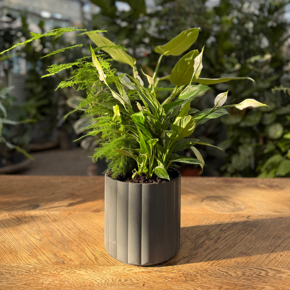 Klimakrukken Mikro | Ø18/H18cm