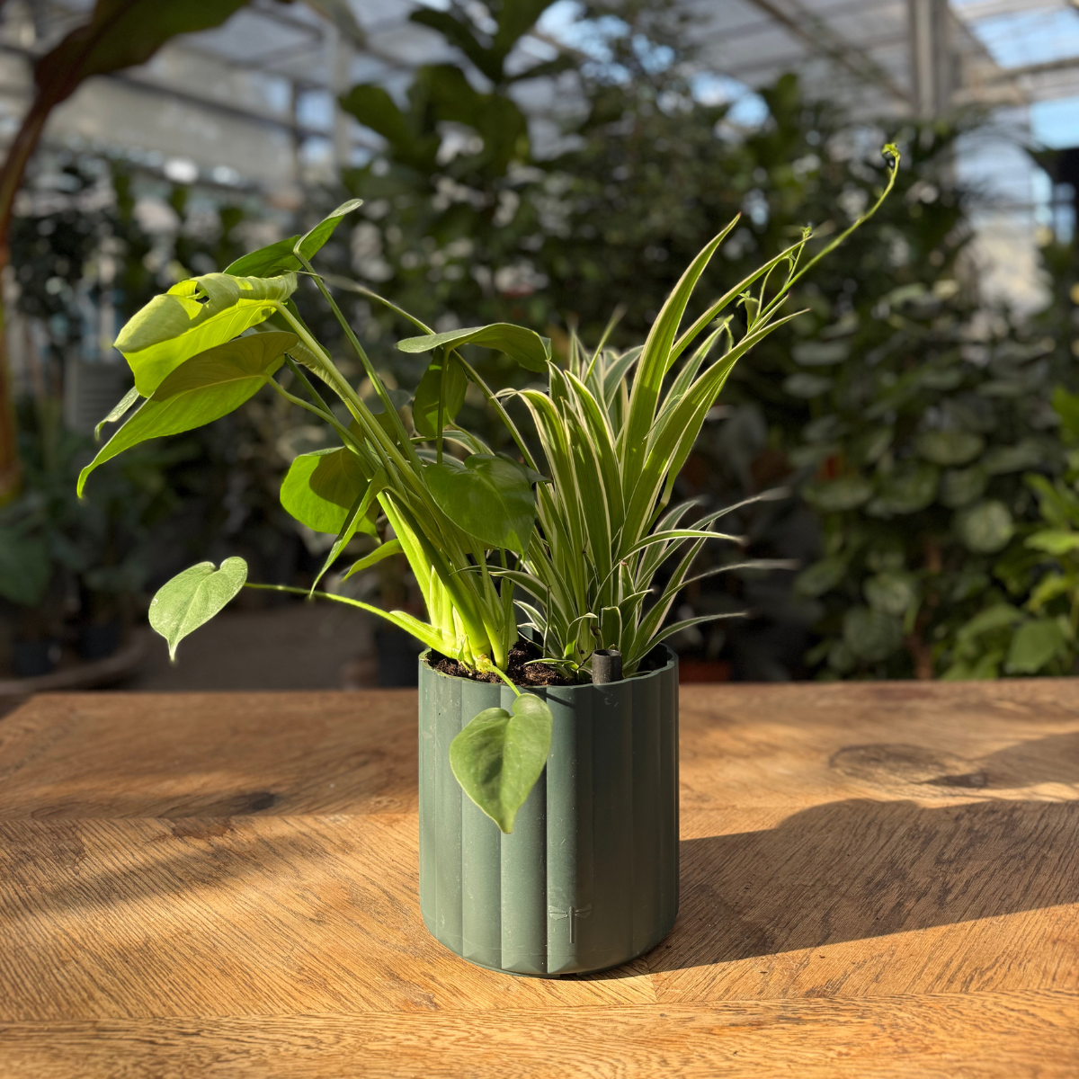 Klimakrukken Mikro | Ø18/H18cm